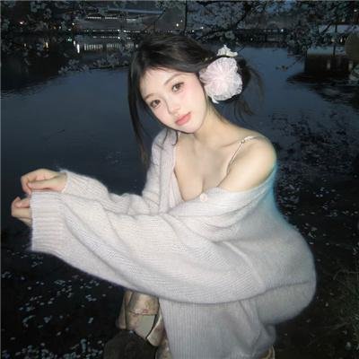 义胆骑士